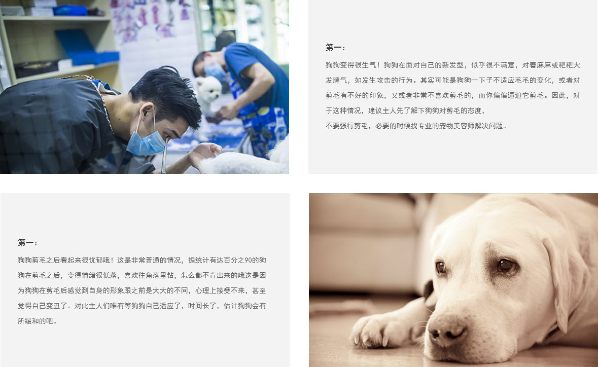 五一节后综合症？来这里让你满血复活